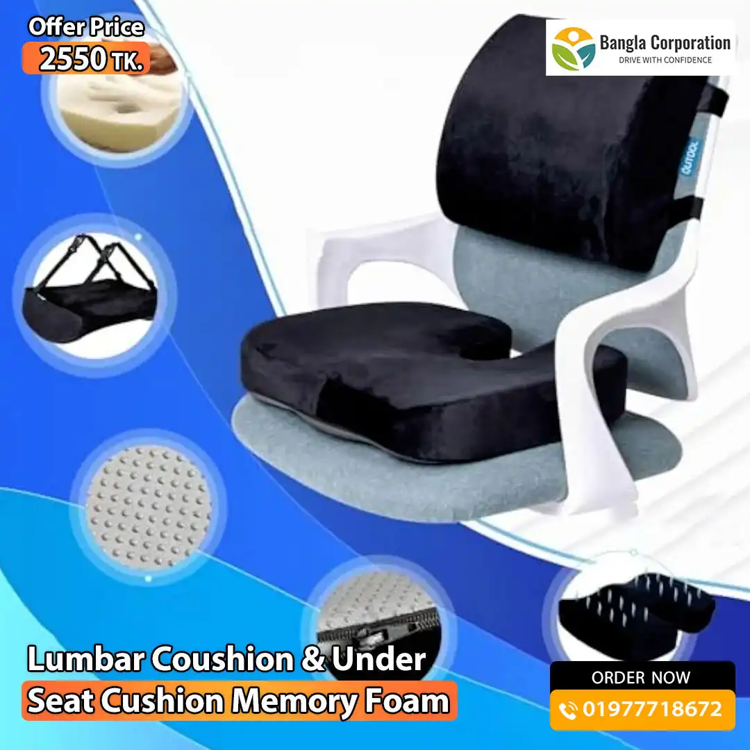 Back Pain Relief Pillow for Car Seat